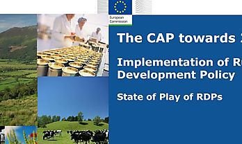 La PAC en el horizonte 2020 Implementacin de la Poltica de Desarrollo Rural Situacin de los PDRs en Europa