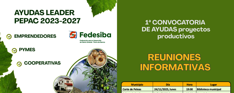 FEDESIBA presenta la 1 Convocatoria de Ayudas del Programa Enfoque Leader 20232027 
